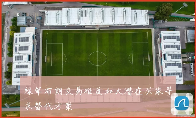 绿军布朗交易难度加大潜在买家寻求替代方案