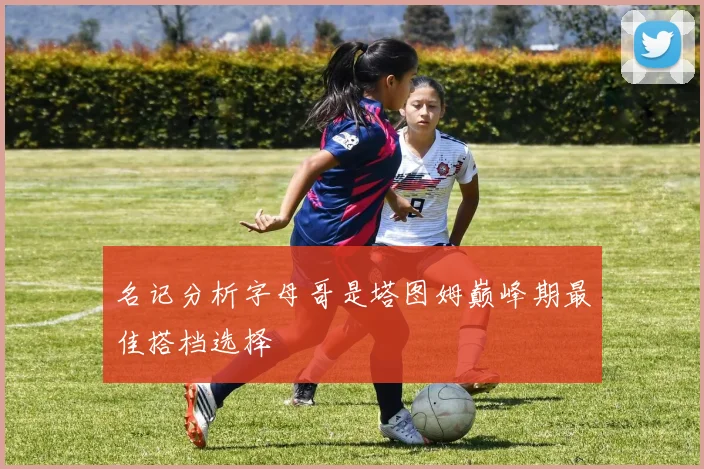 名记分析字母哥是塔图姆巅峰期最佳搭档选择